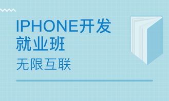 北京八角地區軟件開發培訓與技術服務市場概述